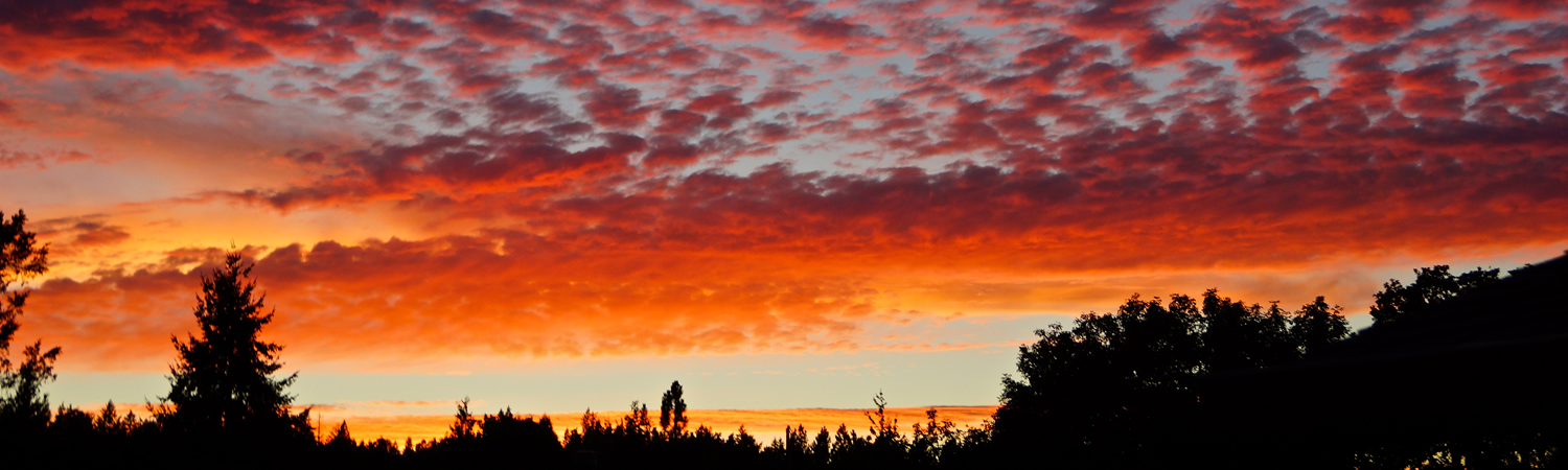 Banner image of Lebanon 
